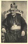 S. Ecc. Mons. Francesco Ciceri, nato a Vill'Albese il 19 luglio 1848 - Consacrato sacerdote il 17 dicembre 1870 - Eletto Vescovo di Pavia il 15 aprile 1901 - Morto il 2 giugno 1924. A lui si devono i lavori di ampliamento della Chiesa Parrocchiale