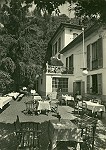 V1954