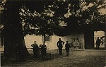 V1920