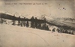 V1917