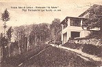 V1921