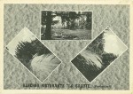 V1950