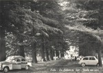 V1960